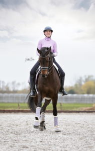 Paard in Training - Gentle