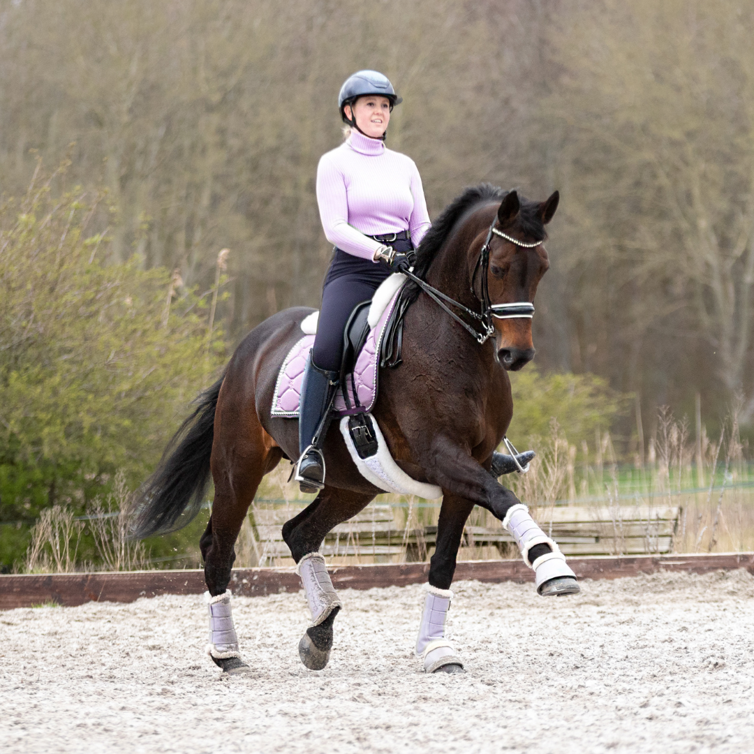 sammykoppdressage